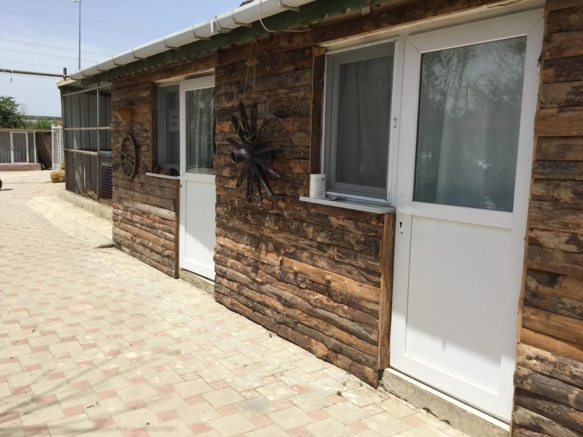 Safir Sunny Beach Hotel Sultankoy Exterior photo